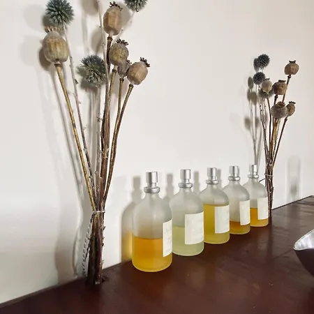 Διαμέρισμα Casatimavo23 Μπολόνια