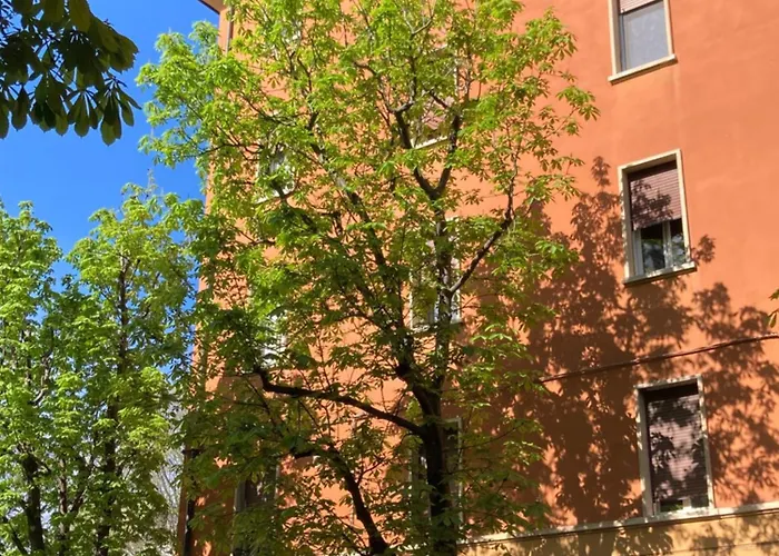 Casatimavo23 Bologna